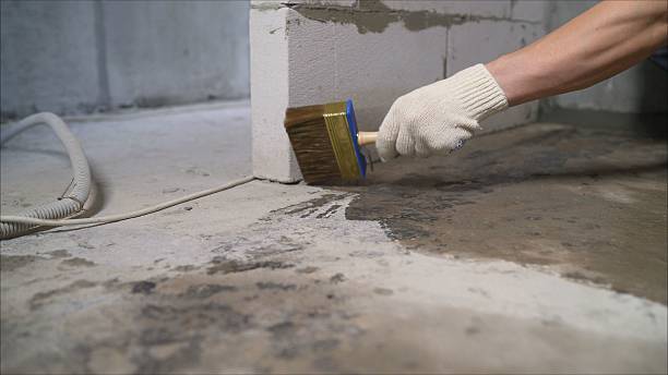SJ Waterproofing Pros Waterproofing coverage map for Newport, TN and surrounding area